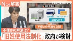 「旧姓使用の法制化」政府が検討、パスポートの併記や銀行の手続き…私たちの生活はどう変わるのか【Nスタ解説】| TBS CROSS DIG with Bloomberg