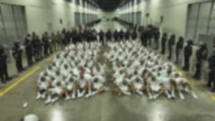 トランプ政権が敵性外国人法を適用し、国外追放したベネズエラ人のなかに犯罪歴がない亡命申請中の男性が…エルサルバドルの巨大刑務所に収容されたか| TBS CROSS DIG with Bloomberg