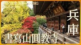 山上の名刹が織りなす紅葉【JNN紅葉ドローンDIG】|TBS NEWS DIG