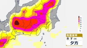 【気象情報】関東甲信　あす14日（木）も大気の状態が不安定になる見込み【雨のシミュレーション＆発雷確率】急な強い雨や落雷に注意|TBS NEWS DIG