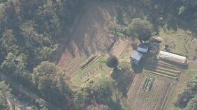 【速報】わなで捕獲したクマを駆除する際に逆襲されたか　体長1.8ｍ暴れてわなからはずれ…ハンターの60代～70代男性2人が負傷　北海道小樽市|TBS NEWS DIG