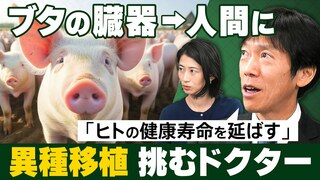 【異種移植】将来、国民病は「がん」→「臓器不全」に？　世界が覇権を争う治療法　聞き手：岡村仁美【Social Shift】| TBS CROSS DIG with Bloomberg