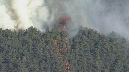 田んぼのあぜの枯草を焼いていた火が原因か【上田の山林火災】当事者の