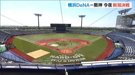 絶好の野球観戦日和！『横浜DeNA 対 阪神』当日券は午後3時から発売