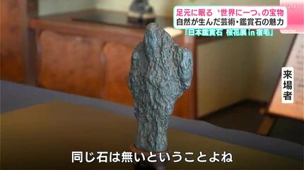足元に眠る“世界に一つ”の宝物 自然が産んだ芸術・鑑賞石の魅力 高知は