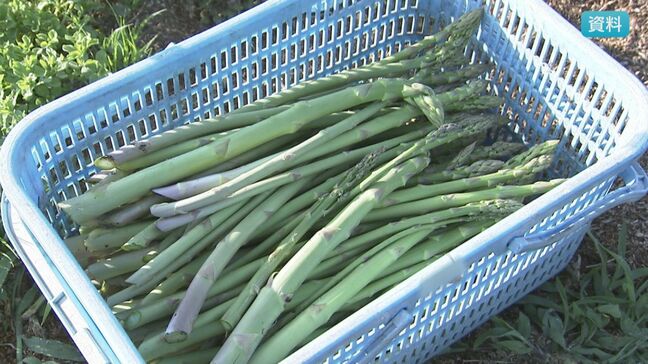 野沢温泉村でも…【ふるさと納税返礼品の産地混在問題】アスパラガスの一部が飯山市産だった　村民でもわかりにくい入り組んだ境界線　長野|TBS NEWS DIG