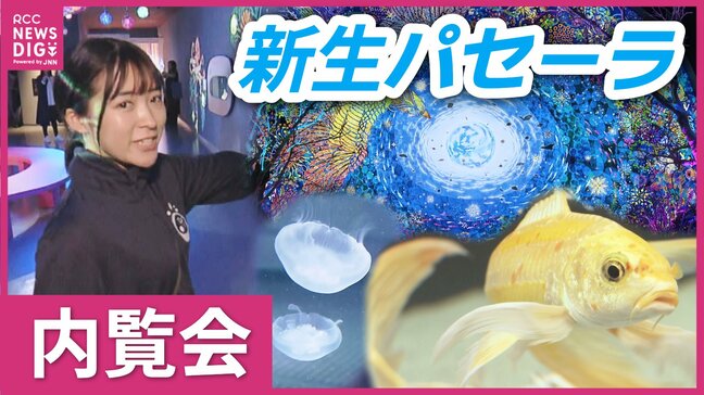 「水族館の枠を超えた美術館の魅力」新たな賑わい拠点　新生パセーラ　シェア型フードホール　町中の水族館　広島市|TBS NEWS DIG