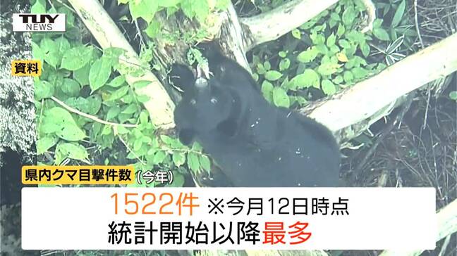 県内でクマ目撃相次ぐ　きのうはキノコ採りの男性が襲われケガ（山形）|TBS NEWS DIG