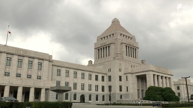 静岡選挙区は現職2人に複数の新人が挑む構図に…参議院選挙 17日間の展開は【選挙の日、そのまえに。】|TBS NEWS DIG