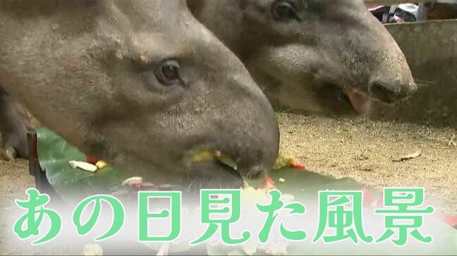 【懐かしい映像】「いい○○の日」いくつ知っていますか?|TBS NEWS DIG