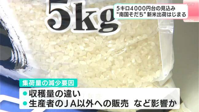 米の“集荷合戦”が価格高騰に影響か、生産者は“JA以外”にも販売…「南国そだち」新米出荷、価格は「5キロ4000円台」と去年の1.5～2倍の見込み|TBS NEWS DIG