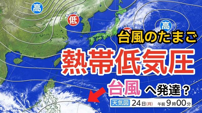 【台風情報】11月下旬なのに...「台風のたまご」熱帯低気圧が発生　あす（25日）にも台風に発達か　今後の進路は？　全国各地の天気シミュレーション【気象庁 24日午後9時更新】	|TBS NEWS DIG
