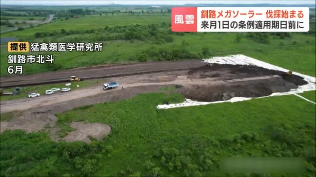 釧路湿原周辺で工事本格化か?メガソーラー建設予定地でオジロワシ飛来の木を伐採「駆け込みだ、われわれは抗議する」と住民反発|TBS NEWS DIG