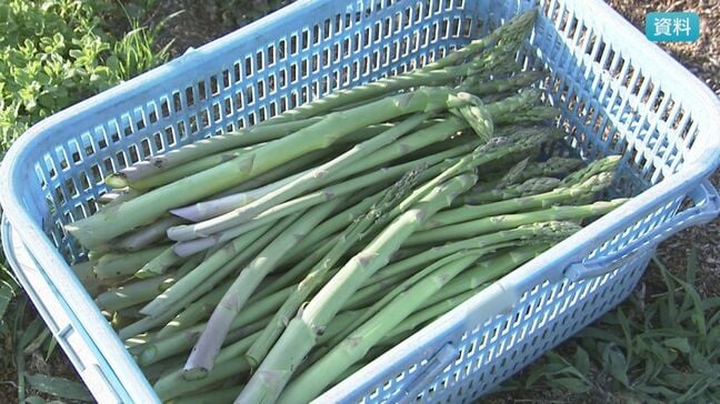 野沢温泉村でも…【ふるさと納税返礼品の産地混在問題】アスパラガスの一部が飯山市産だった　村民でもわかりにくい入り組んだ境界線　長野|TBS NEWS DIG