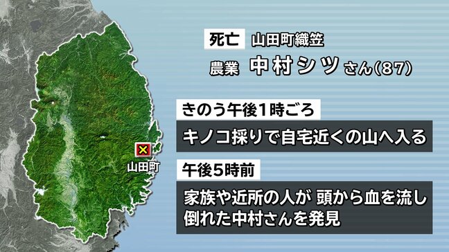 山田町で崖から沢に転落か キノコ採りに出かけた女性が頭から血を流し倒れているのを発見 死亡を確認 岩手|TBS NEWS DIG