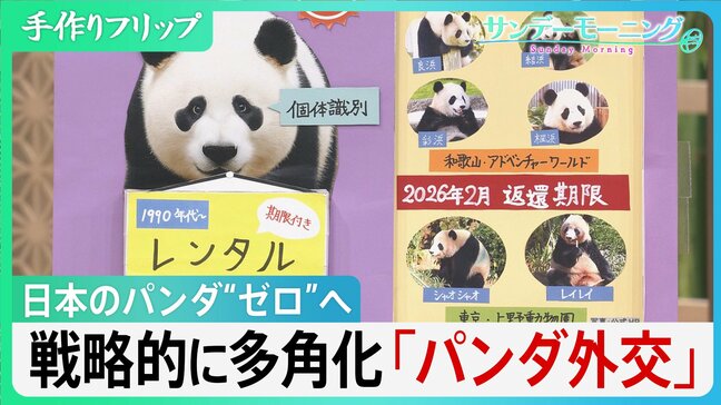 日本のパンダ“ゼロ”へ…　戦略的に多角化するパンダ外交【サンデーモーニング】|TBS NEWS DIG