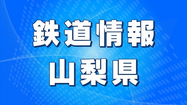 JR身延線　落石のため運転見合わせの身延駅ー芝川駅間　運転再開|TBS NEWS DIG
