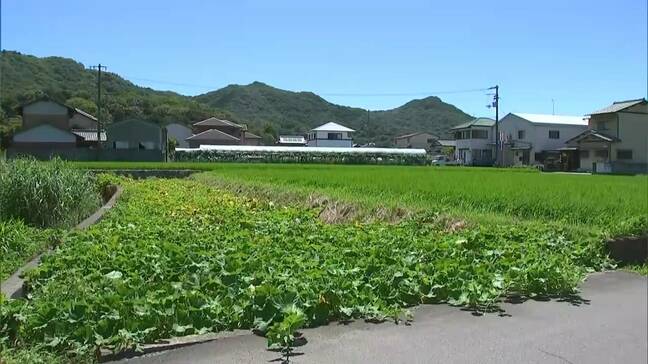 またサルに襲われ女性がけが　高松市庵治町の民家に出没　右耳をひっかき逃走中【香川】|TBS NEWS DIG