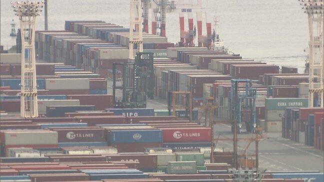 東京港のコンテナからヒアリ1万匹以上　卵・幼虫・サナギも8000匹以上　東京で一度に確認された数として過去最多|TBS NEWS DIG