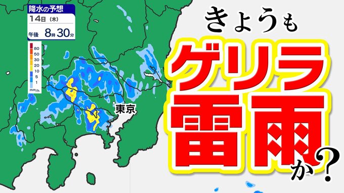 【東京首都圏  天気急変おそれ】ゲリラ雷雨  激しい雷雨に注意【雨と発雷確率のシミュレーション／週間予報】東京・神奈川・埼玉・千葉・群馬・栃木・茨城・山梨・長野|TBS NEWS DIG