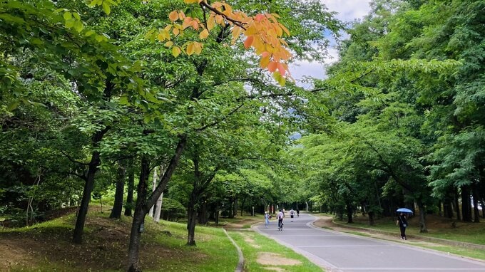 北海道の夏は「物足りない」？29日から厳しい暑さ予報も30日の予想最高気温は札幌24℃　本格的な暑さは8月5日ごろから…予報が後ろ倒しになった理由|TBS NEWS DIG