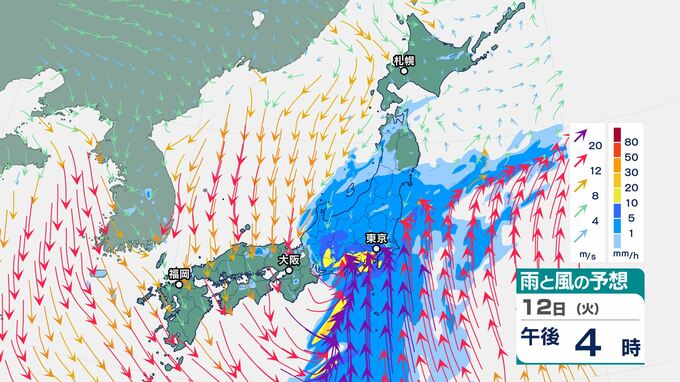 西日本から東日本では13日にかけ「雷を伴った激しい雨」のおそれ　前線を伴った低気圧が急速に発達　暴風や高波にも警戒|TBS NEWS DIG