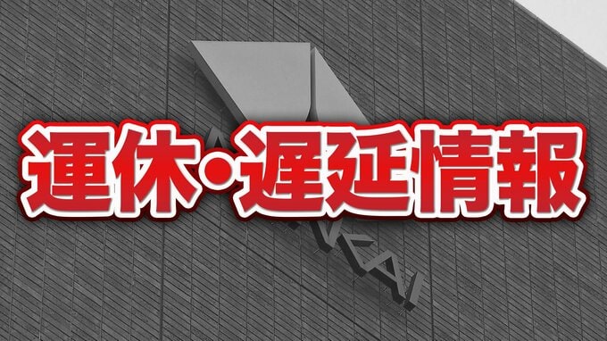 【南海電鉄】歌山大学前～紀ノ川で車が線路に侵入　南海本線、加太線で運休・遅延が発生（11時10分現在）　|　MBSニュース | 関西の最新ニュースを分かりやすく。