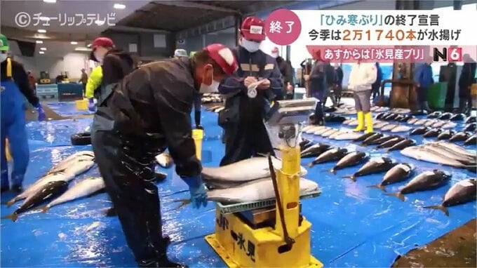 今季は２万本超！「ひみ寒ぶり」のシーズン終了　それでも氷見産ブリの出荷続く　富山・氷見市|TBS NEWS DIG