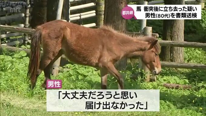 都井岬の野生馬の当て逃げ事故　鹿児島県の80代男性を書類送検　|　MRTニュース ｜ ＭＲＴ宮崎放送