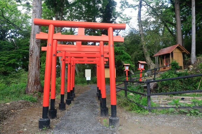 ネコの幸せ願う「御朱印」2月22日（猫の日）に“ねこ稲荷”で時間限定で発行　福島|TBS NEWS DIG