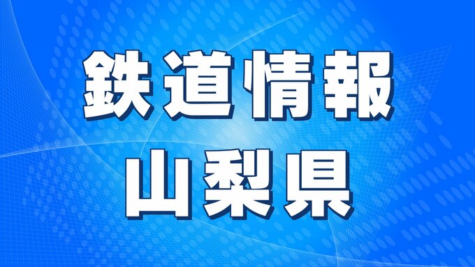 JR身延線　落石のため運転見合わせの身延駅ー芝川駅間　運転再開|TBS NEWS DIG