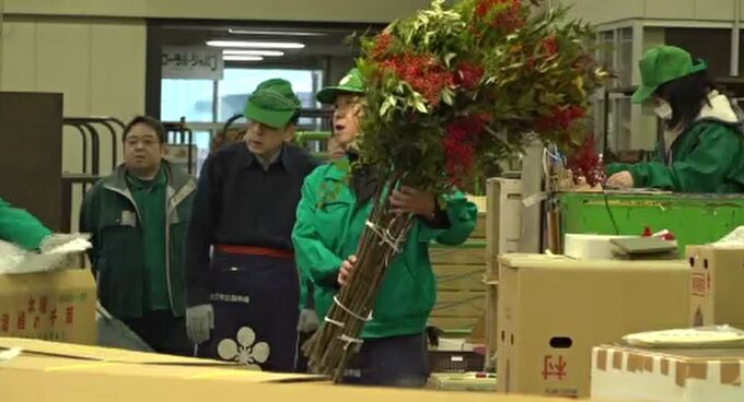 難を転ずる縁起物「ナンテン」が高値　千両市　|　石川県のニュース｜MRO北陸放送