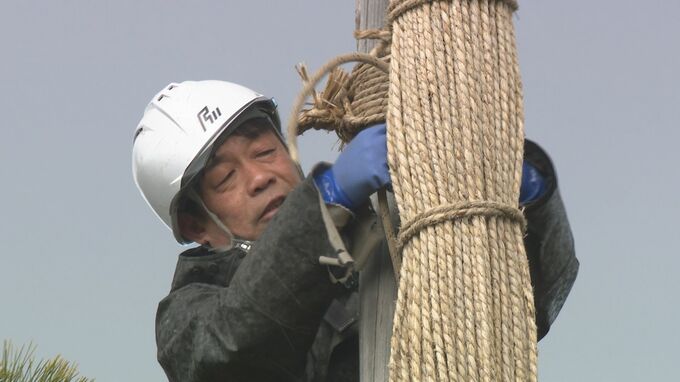 春到来！「金沢を感じるものですよね」兼六園随一の銘木で雪吊りの取り外し作業　|　石川県のニュース｜MRO北陸放送