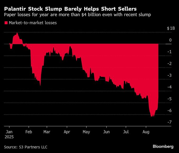 米パランティア空売り勢に16億ドル超の利益、ハイテク株安で６日続落