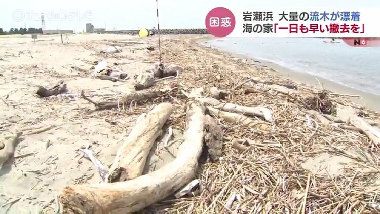 地元の海から取れました少し大きめの流木です！ img_4fc2cc16a750acc0fd57496a8a