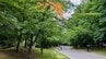 北海道の夏は「物足りない」？29日から厳しい暑さ予報も30日の予想最高気温は札幌24℃　本格的な暑さは8月5日ごろから…予報が後ろ倒しになった理由　|　北海道のニュース｜HBC北海道放送