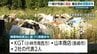 えびの市で産業廃棄物を野積みのまま放置　一部が道路に流出　事業者2社に宮崎県が廃棄物処理法に基づく措置命令　|　MRTニュース ｜ ＭＲＴ宮崎放送