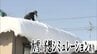 青森市　気温上昇で雪解け進み8日ぶりに積雪が140cm下回る　しかし週末にかけては再び「強烈寒気」襲来で…　大雪などの予想シミュレーションで見る最新予想は？【雪の予想・5日午後2時現在】　|　青森のニュース│ATV NEWS│青森テレビ