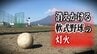 消えかける軟式野球の灯火「県内の高校の人と対戦したい…」球児たちの“まっすぐ”な思い　出場予定校『1校のみ』で歴史上初の中止となった秋の県大会　青森県内の軟式野球の現状　|　青森のニュース│ATV NEWS│青森テレビ