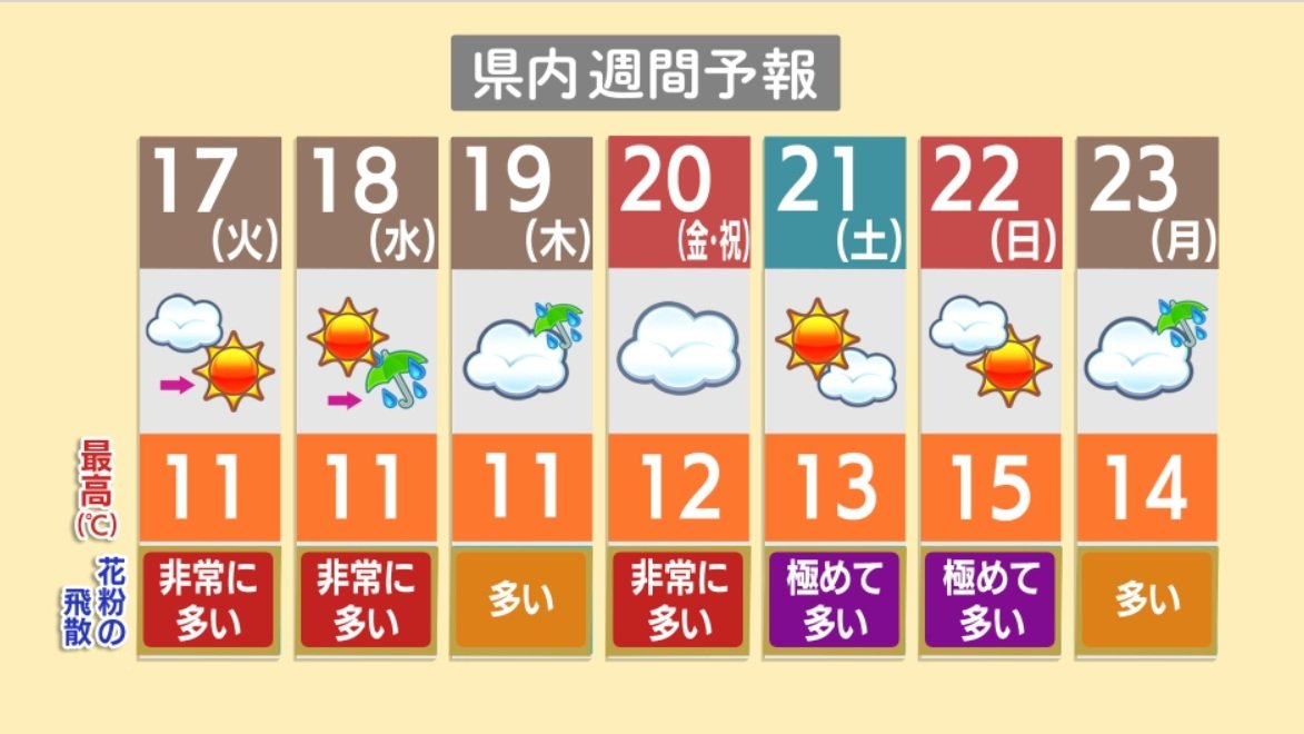 スギ花粉】20日からの3連休が“ピーク” 21・22日は『極めて多い』新潟