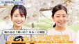 【お天気ライブ】この先、春本番の陽気に？ “ゆるっと”ひなまつりトーク【まったり天気部屋】（2023年3月3日）|TBS NEWS DIG