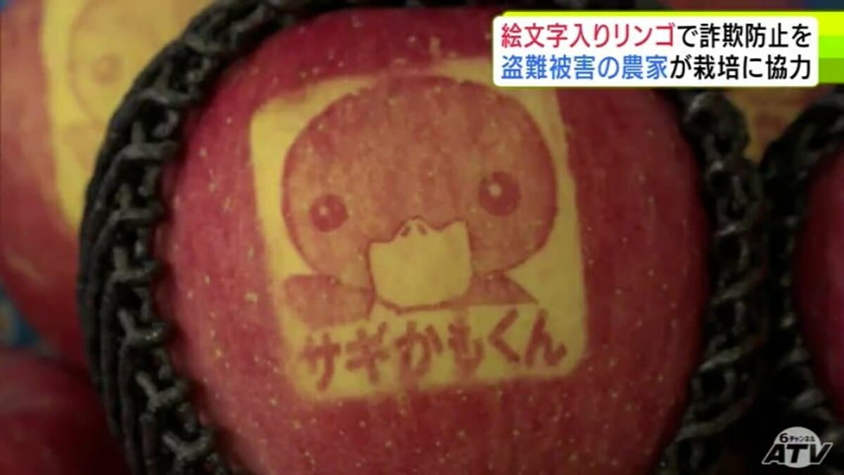 サギに注意して！」小学生が詐欺被害防止を呼びかけ『絵入りリンゴ』を