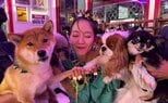 【 吉岡里帆 】　犬に囲まれ笑顔　オフショットに反響　「犬まみれの里帆さん❤可愛い」「癒されます︎」|TBS NEWS DIG