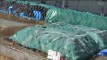 国の合同庁舎で原発事故の除染土を再利用へ　市長は人体への影響はないと認識　仙台　|　宮城のニュース│tbc NEWS│tbc東北放送