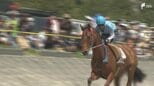 さがら草競馬大会疾走する姿に歓声 竜巻からの復興願い「ばん馬」を招待=静岡・牧之原市|TBS NEWS DIG