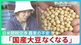 「国産大豆なくなる」日米関税交渉に不安募らせる農家　日本が交渉カードとしたのは大豆などの農作物【サンデーモーニング】|TBS NEWS DIG