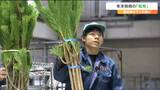 「かなり引き合いの強い取引」縁起物のマツの競り『松市』高値で取引 仙台 | 宮城のニュース│tbc NEWS│tbc東北放送