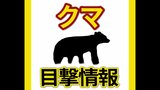 【クマ】広島市佐伯区で新たな「熊目撃情報」相次ぐ　小中学校１０校は臨時休校に　「怖い。とりあえず子どもと離れないように」|TBS NEWS DIG