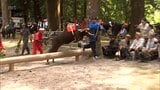 牛が豪快に丸太を跳び越え 五穀豊穣や無病息災を祈願　えびの市菅原神社で伝統の「牛越祭」|TBS NEWS DIG