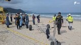 【速報】「沈んでいく人を見た」下田市の海水浴場で21歳の男性が溺れ死亡＝静岡・白浜大浜海水浴場　|　静岡のニュース | SBSNEWS | 静岡放送